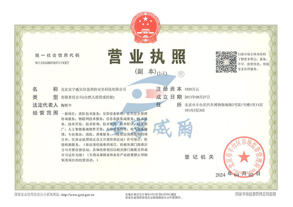 科技公司营业执照副本24
